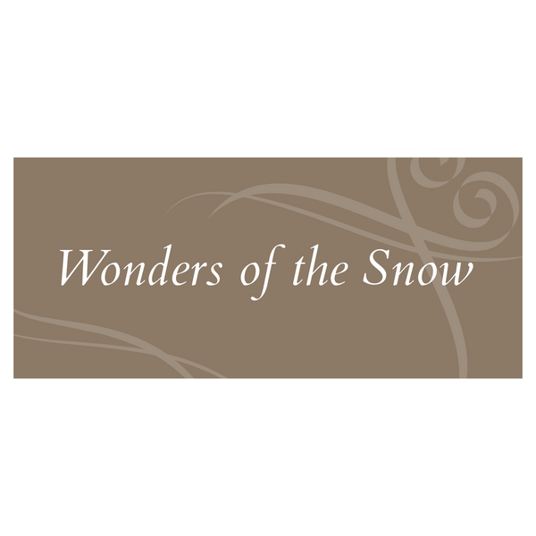 Wonders Of The Snow • 